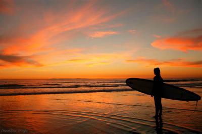 Sunset Surfer 2