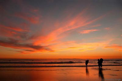 Sunset Surfer 3