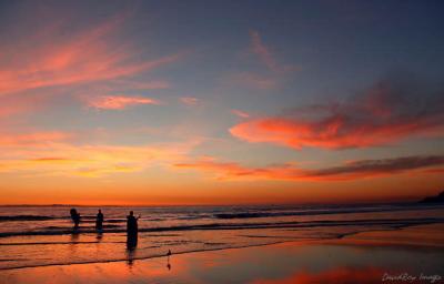 Sunset Surfer 4
