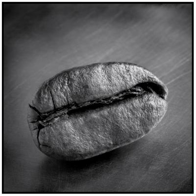 Bean