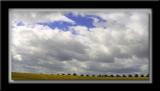 horizon