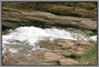 DSC_0062 copy.jpg