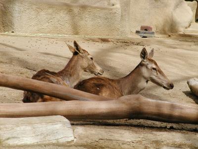 Rest Time.jpg
