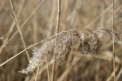 u41/designed/medium/27114634.Nature2.jpg