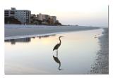 Tidal Pool, Early Morning