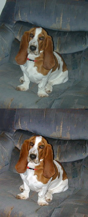 Before and After Pearl