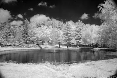  DSC_2789W87.jpg