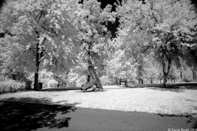  DSC_2816.jpg
