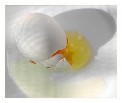 u41/digitalgee/medium/33236082.Egg.jpg