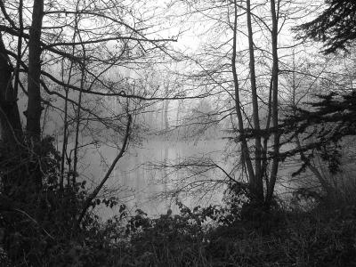 england in the mist.jpg