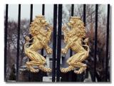 Lions on a Gate