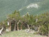 Mount Evans