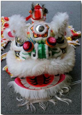 Traditional Chinese New Year lion costume