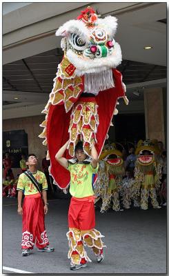 Lion Dance