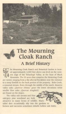 Mourning Cloak Ranch
