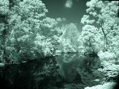 Infrared4.jpg