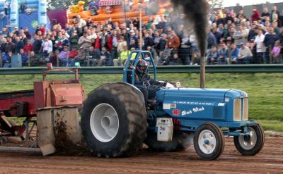 Ditch Witch