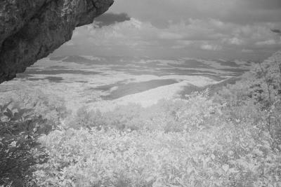 IR of #1