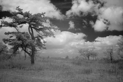 IR of #2