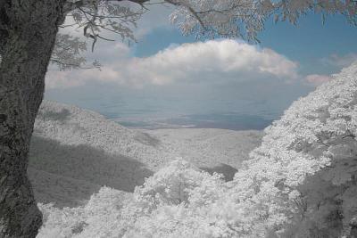 Colored IR of #3