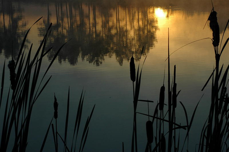 10/04 winner - 9/21/04 PAD - Sunrise