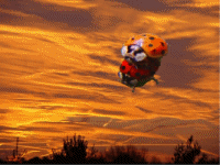 u41/erichmangl/upload/34092352.tonimoorewwwmanglat.gif