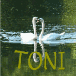 u41/erichmangl/upload/34100850.tonimooreswwwmanglat.gif