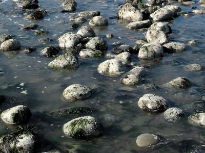 Low Tide Rocks