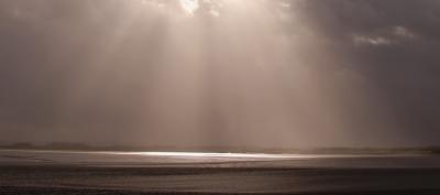 u41/esed/medium/27156632.DSC_2411_filtered.jpg