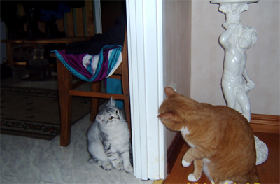 First meeting with new friend