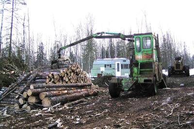 Logging  114 copy.jpg