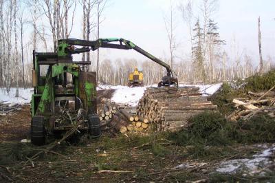 Logging 121 copy.jpg
