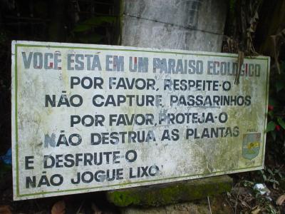 You are in an ecological paradise.  (Ilha Grande)  No kidding.