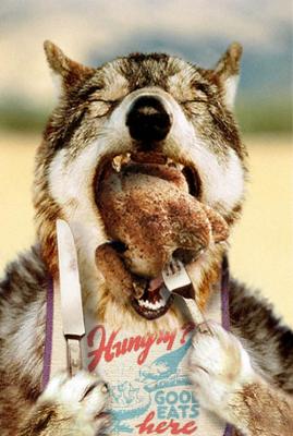 hungry_wolf.jpg