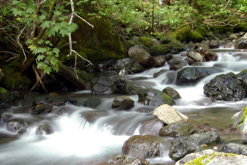 Small Creek Zoom in the Hamma Hamma River Rec Area.