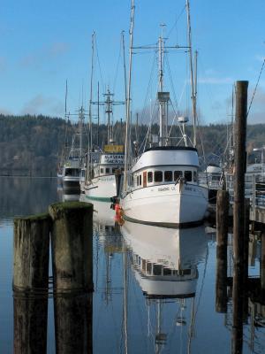 Poulsbo Marina on a Sunny Day