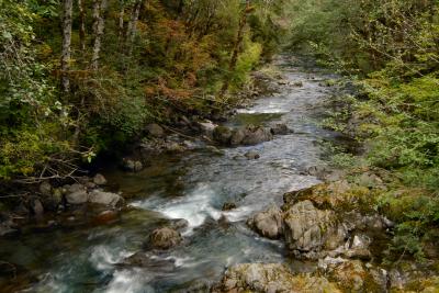 Another Small Creek in the Hamma Hamma River Rec Area.