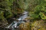 Small Creek in the Hamma Hamma River Rec Area.