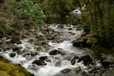Another Small Creek in the Hamma Hamma River Rec Area.