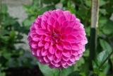 IMGP0834.JPG