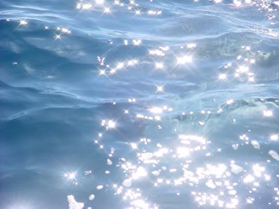 Ocean Sun Fish comes to us