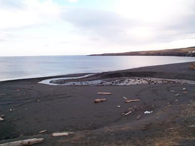 Image11.jpg