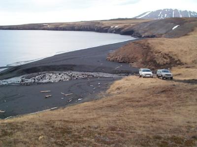 Image12.jpg