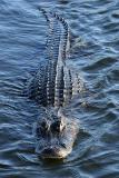 Everglades National Park