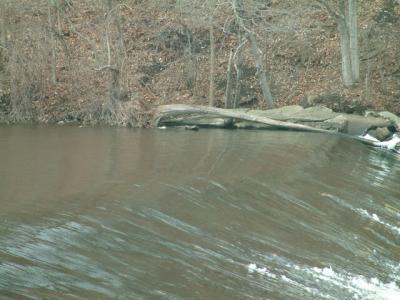 Another Dam Photo