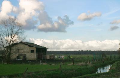 small barn (10).jpg