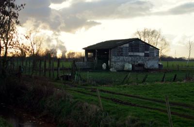 small barn (11).jpg