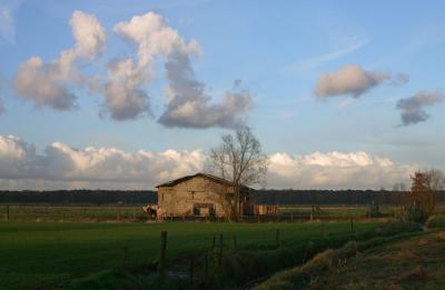 small barn (12).jpg