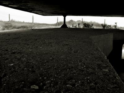BUNKER_51_YSKY.jpg