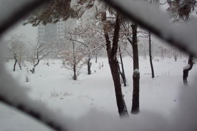 u41/ghislain3/medium/26766156.IranTehranJan2004079.jpg